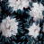 White Flower