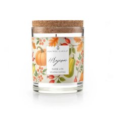 Vontree Candle Sójová vonná svíčka Hřejivá dýně a skořice