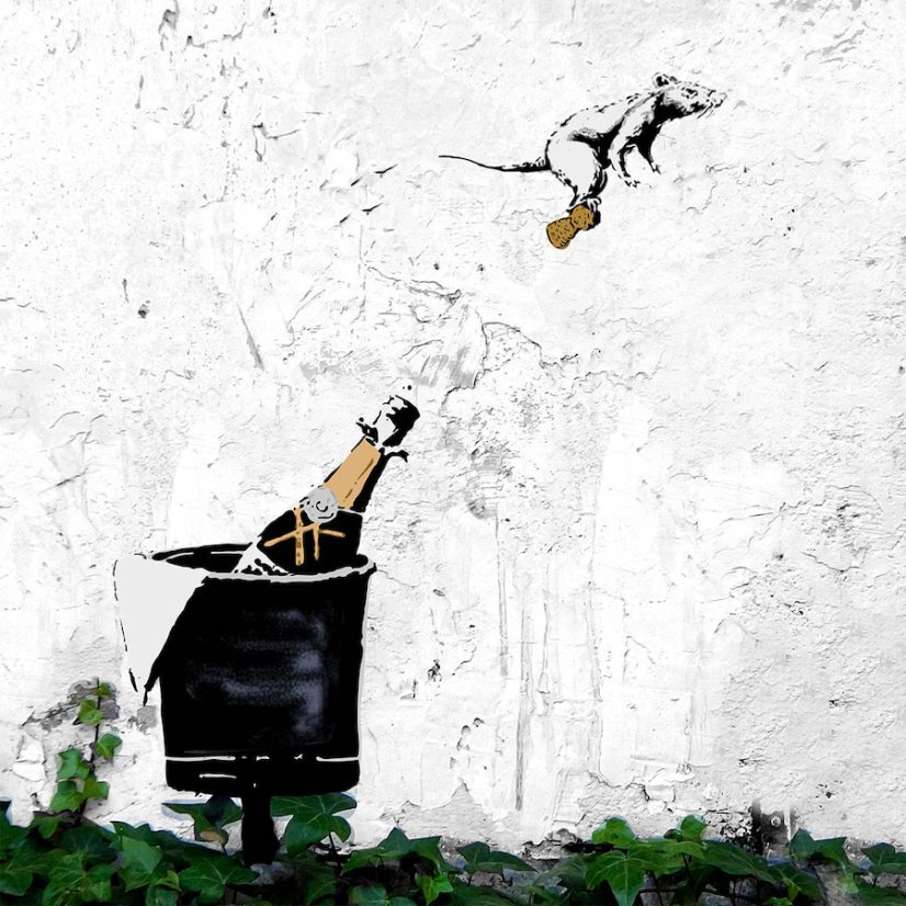 You Bottles Termoláhev na pití Dual Banksy 500 ml