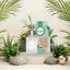 Ben & Anna Šampon v prášku Aloe vera 2×20g