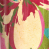 Pink Flambe