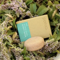 Ponio tuhý šampon na vlasy Mint obnova & ochrana