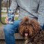 Quokka Termohrnek se sítkem Boost 400 ml
