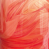 Peach Petals