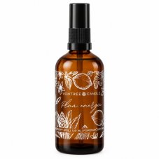 Vontree Candle Bytový sprej  Pomeranč & Zázvor 100 ml