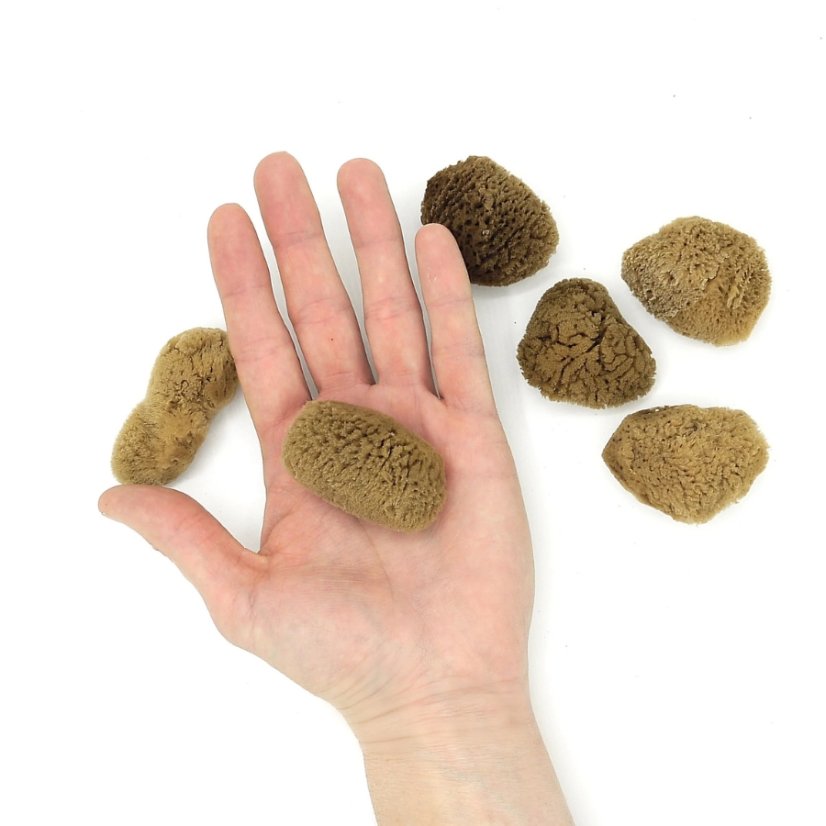 Ponio Mořská houba na pleť