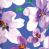 Flower Clusk