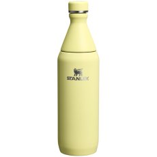 Stanley Nerezová láhev na pití 600 ml All Day Slim Bottle